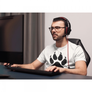 Photo of Cheetah Agency