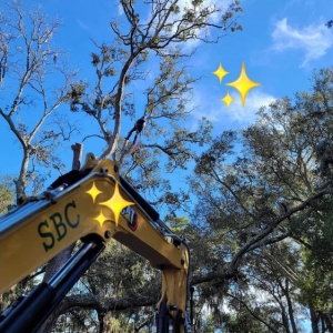 Photo of SBC Trees