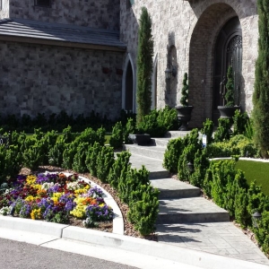Photo of Advantage Landscape