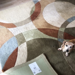 Photo of San Diego Rug Cleaning & Repair