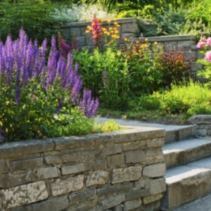 Photo of Xscapes Irrigation and Landscapes