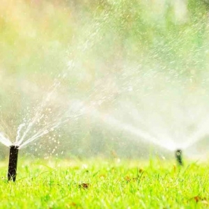 Photo of Xscapes Irrigation and Landscapes