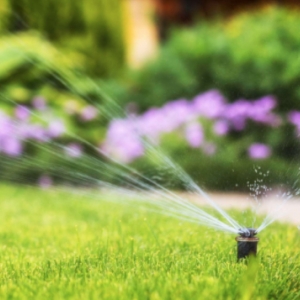 Photo of Xscapes Irrigation and Landscapes