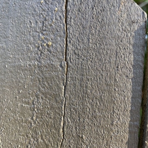 Photo of All Advanced Fence