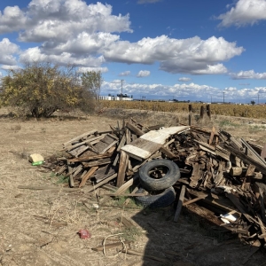 Photo of Organik Junk Removal