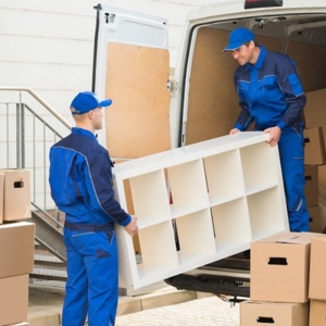 Photo of Land Star Movers