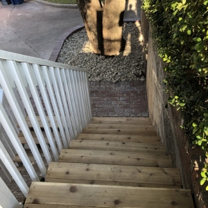 Austin Native Edge Landscape