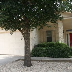 Austin Peach Blossom Property Management