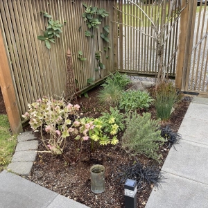 Seattle 2 Bros Landscaping