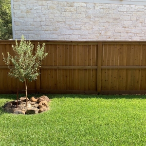 Photo of Austin Quality Fence Staining