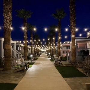Photo of SYNLawn San Diego