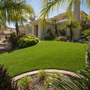 Photo of SYNLawn San Diego