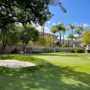 Photo of SYNLawn San Diego