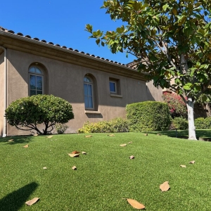 Photo of SYNLawn San Diego