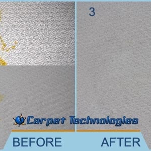 Photo of Carpet Technologies - Franklin