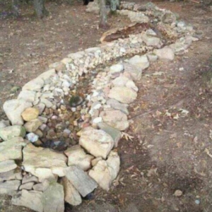 Photo of Earthly Creations And Water Wonders