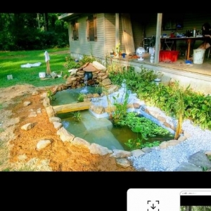 Photo of Earthly Creations And Water Wonders