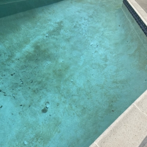 Photo of San Dieguito Pool Center