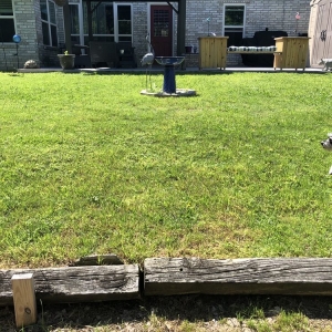 Photo of Dryman Landscape Management