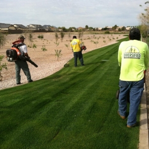 Photo of Diversified Landscape Management, LLC