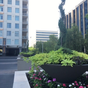 Photo of Diversified Landscape Management, LLC