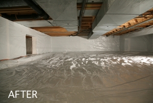 Photo of Dry-X Waterproofing