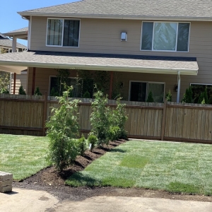 Photo of Castillos Landscape And Hardscape