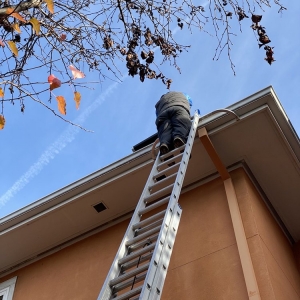 Photo of Professional Window Cleaning