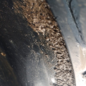 Photo of Tidal Wave Auto Spa - Elizabeth City