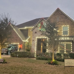 Photo of Kingdom Christmas Lights