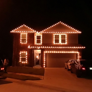 Photo of Kingdom Christmas Lights