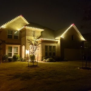 Photo of Kingdom Christmas Lights
