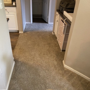 Photo of Allstar Carpet Cleaning