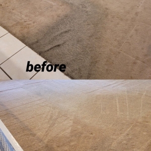 Photo of Allstar Carpet Cleaning