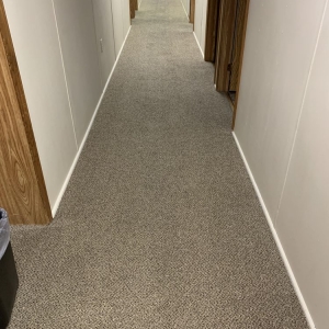 Photo of The Ultimate Cleaning Crew