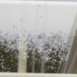 Photo of My Window Man