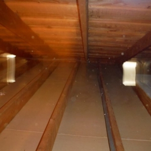 Photo of Attic Prime