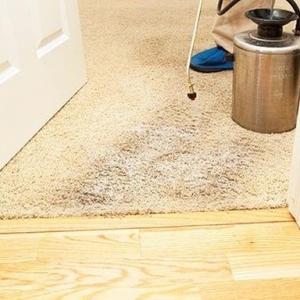 Photo of AAA Carpet Care