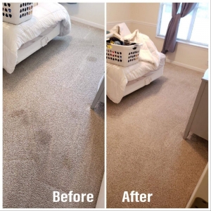 Photo of GreenPro Cleaning