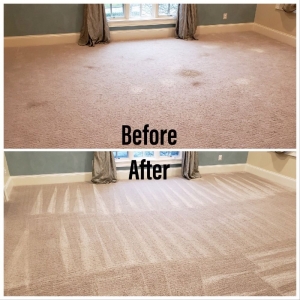 Photo of GreenPro Cleaning