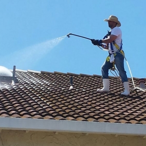 Photo of Illuminate Palace Power Wash Services