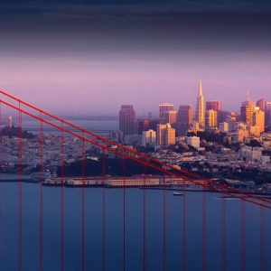 Photo of Palms Capital Partners