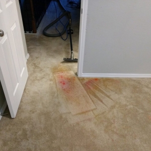 Photo of Spot On Carpet Cleaners