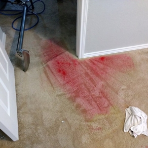 Photo of Spot On Carpet Cleaners