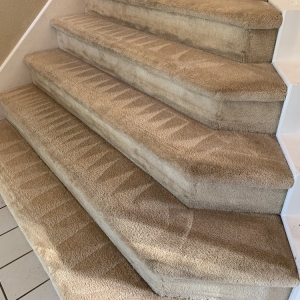 Photo of Spot On Carpet Cleaners