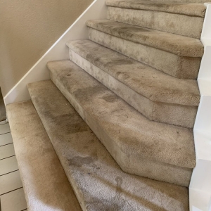 Photo of Spot On Carpet Cleaners
