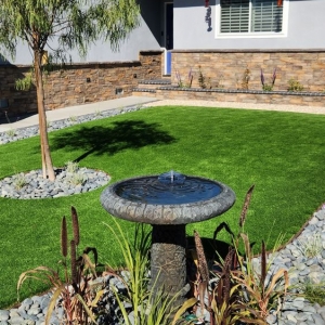 Photo of US Family Turf