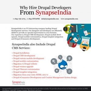 Photo of SynapseIndia
