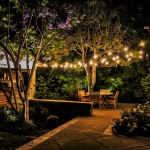 Photo of Illuminated Concepts