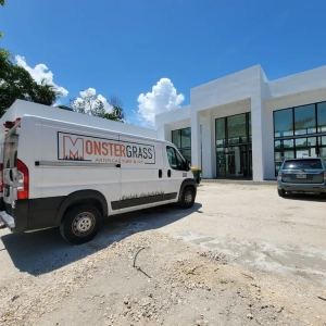 Photo of Monster Grass and Turf